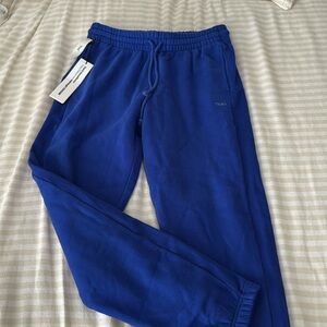 Aritzia Blue Track Pants